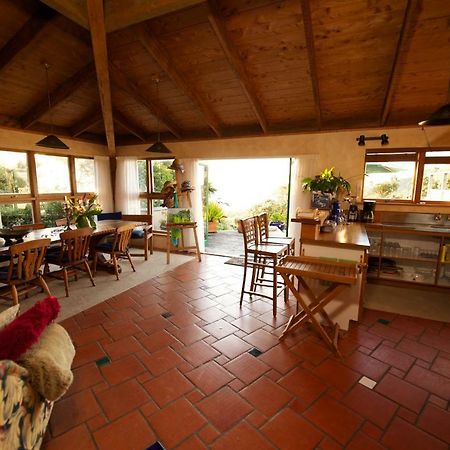 Bethells Beach Cottages Eksteriør bilde