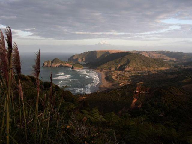 Bethells Beach Cottages Eksteriør bilde