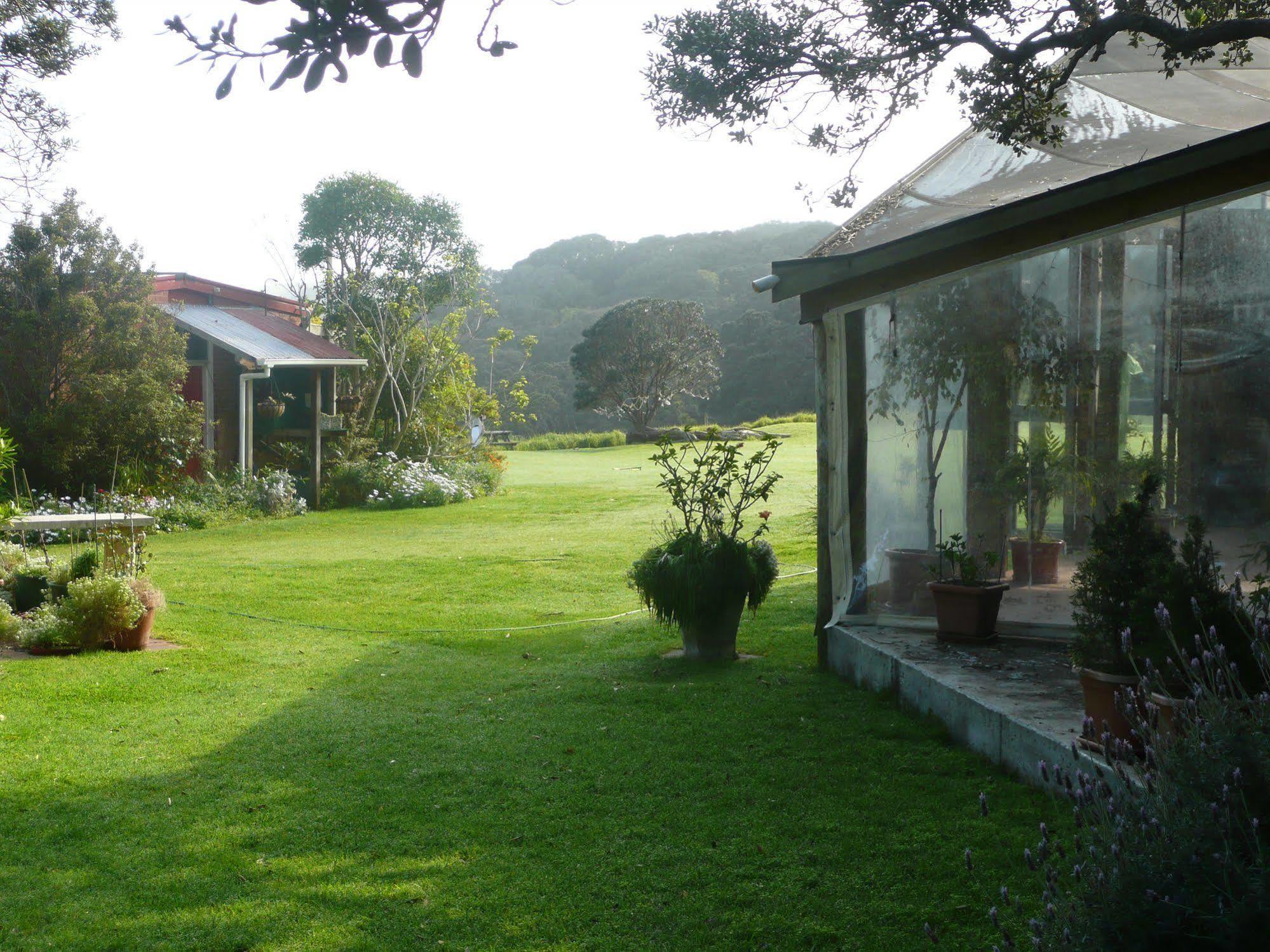 Bethells Beach Cottages Eksteriør bilde