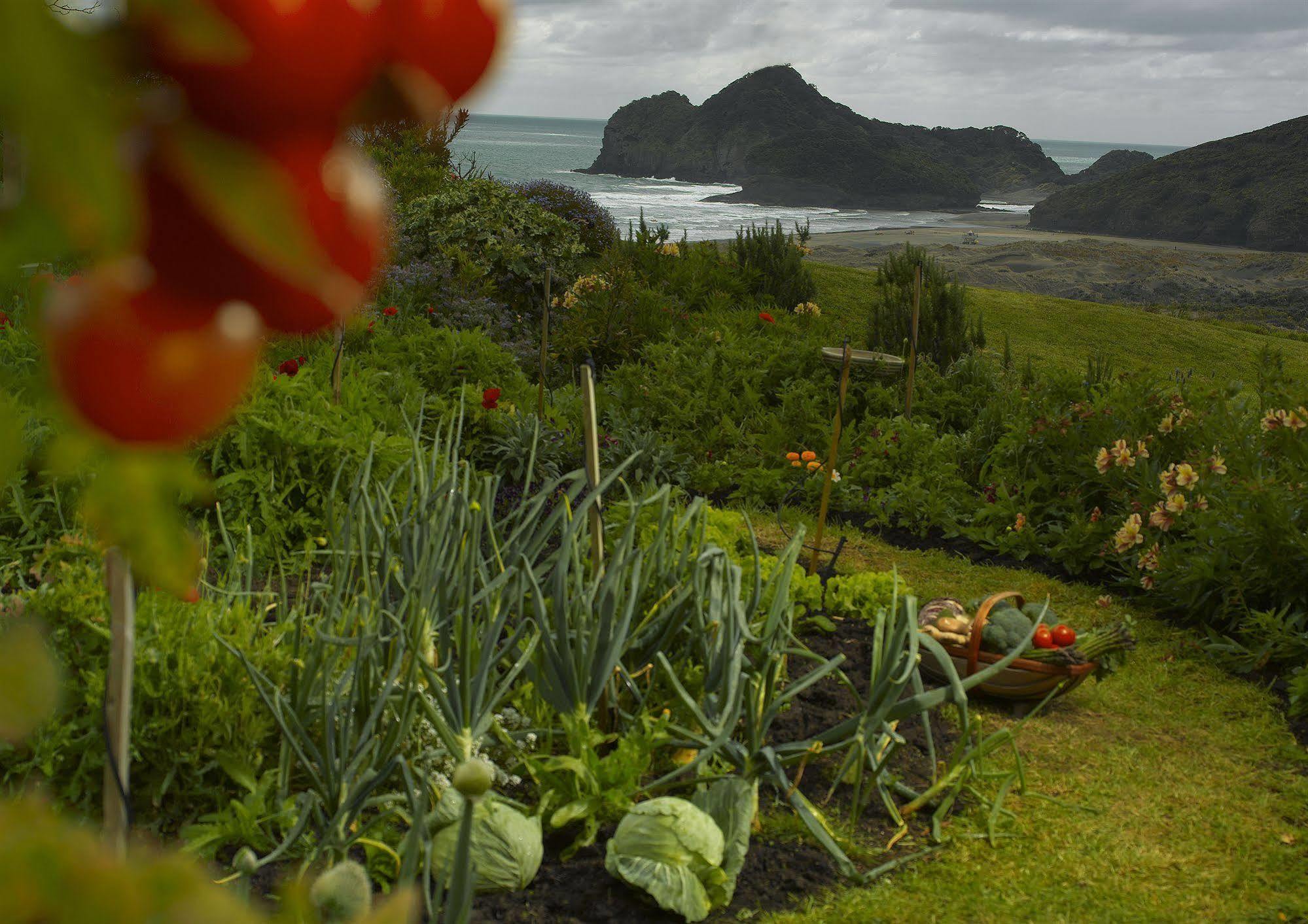 Bethells Beach Cottages Eksteriør bilde